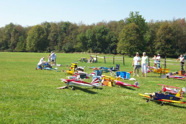 Year-end Picnic